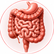Gut Health illustration