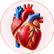 Heart illustration