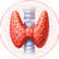 Thyroid illustration